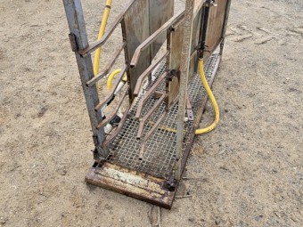 Jumbuck Merino Jetter