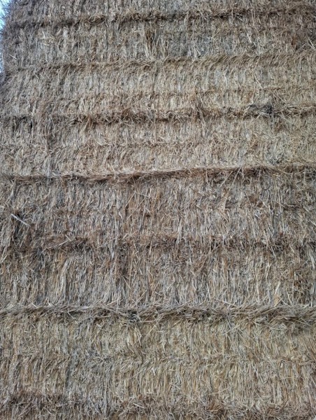 Wheat straw (8x4x3) - Big Squares