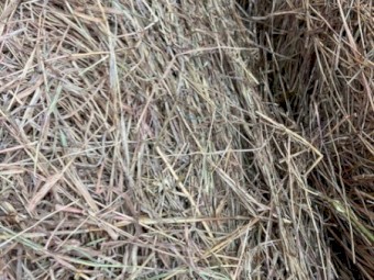 24 bales delivered 4^4   Fine Stem Pasture hay end of season