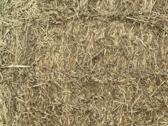 80mt Lucerne Hay 8x4x2 Large Square bales