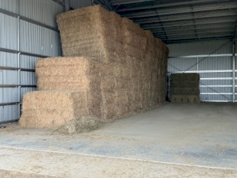 80mt Lucerne Hay 8x4x2 Large Square bales