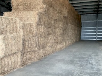 80mt Lucerne Hay 8x4x2 Large Square bales