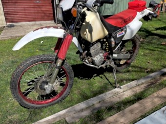 1998 Honda 250 R..11 months Rego. SWAP for family car?. Serviced and front back suspension seals replaced.