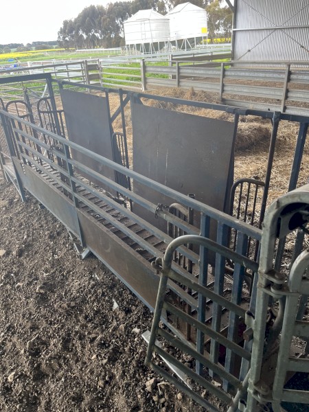 Wool Classing Race Handler Draft