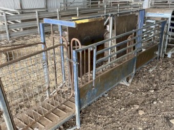 Wool Classing Race Handler Draft