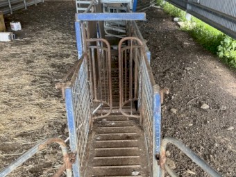 Wool Classing Race Handler Draft