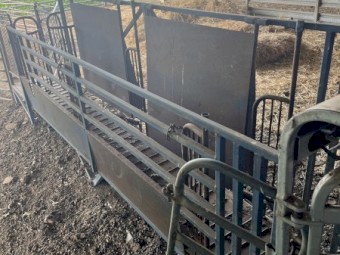 Wool Classing Race Handler Draft