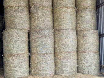 New Season Oaten Hay 4x4 Rounds