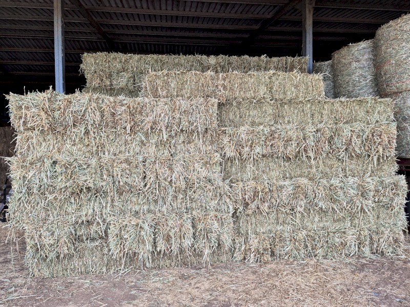 New Season Oaten Hay Small Squares