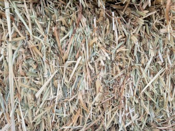 New Season Oaten Hay Small Squares