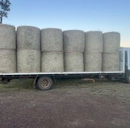  Horse Quality Prairie Grass Hay 4^4