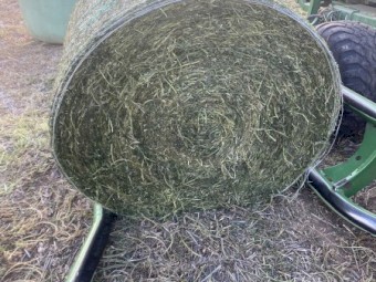 Vetch Silage 4x4 Round Bales