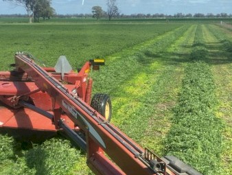 Vetch Silage 4x4 Round Bales