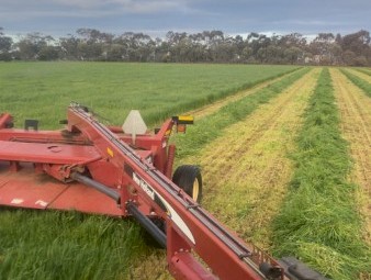 100 x Oaten/Rye Mix Silage 4x4 Round Bales