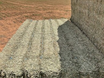 1000 x Vetch Hay 725kg 8x4x3 Bales