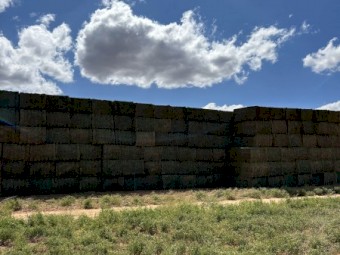 1000 x Vetch Hay 725kg 8x4x3 Bales