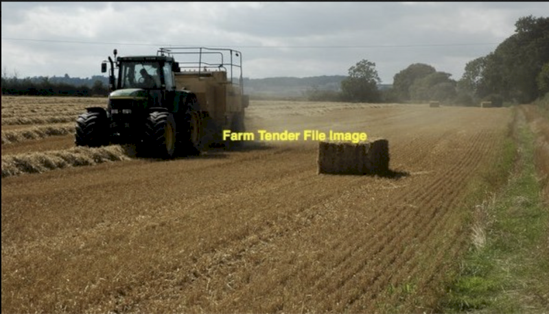 EOI Barley Header Tailings 