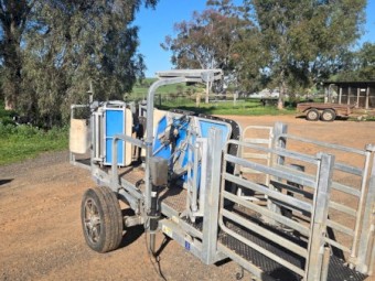 CLIPEX Sheep handler