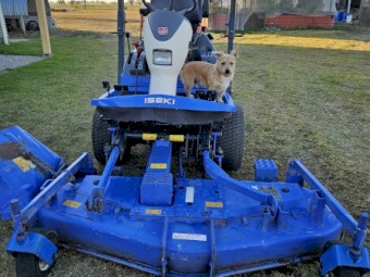 Iseki SF310 Commercial 4WD Mower