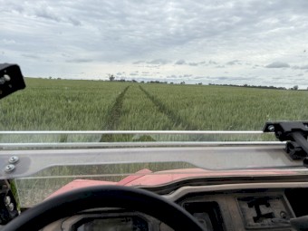 WHEATEN HAY- EOI Cutting before mid October