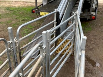 2023 Peak Hill Crutching Trailer 