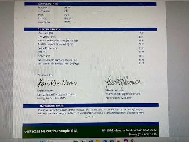 Barley Hay 700kg 8x4x3 Bales