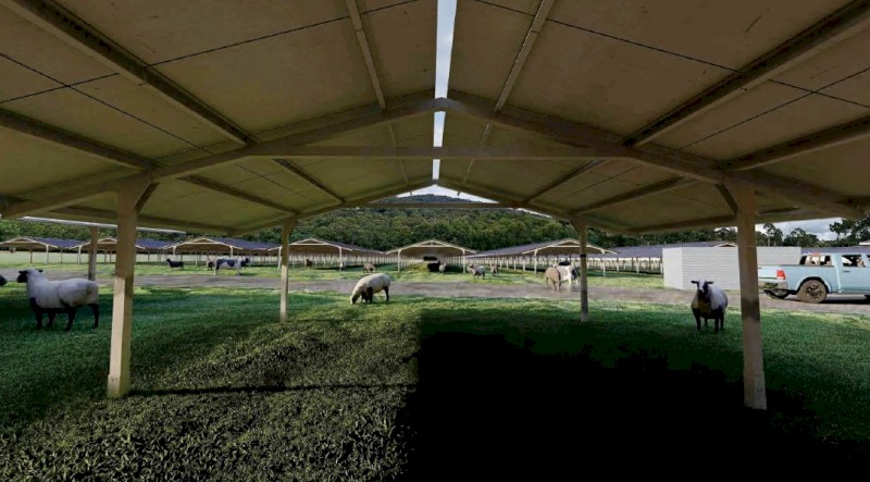 WANTED Sheep Agistment or purchase for Solar Farm The Basin Victoria