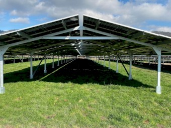 WANTED Sheep Agistment or purchase for Solar Farm The Basin Victoria