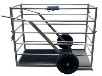 WANTED Portable Calf Scale
