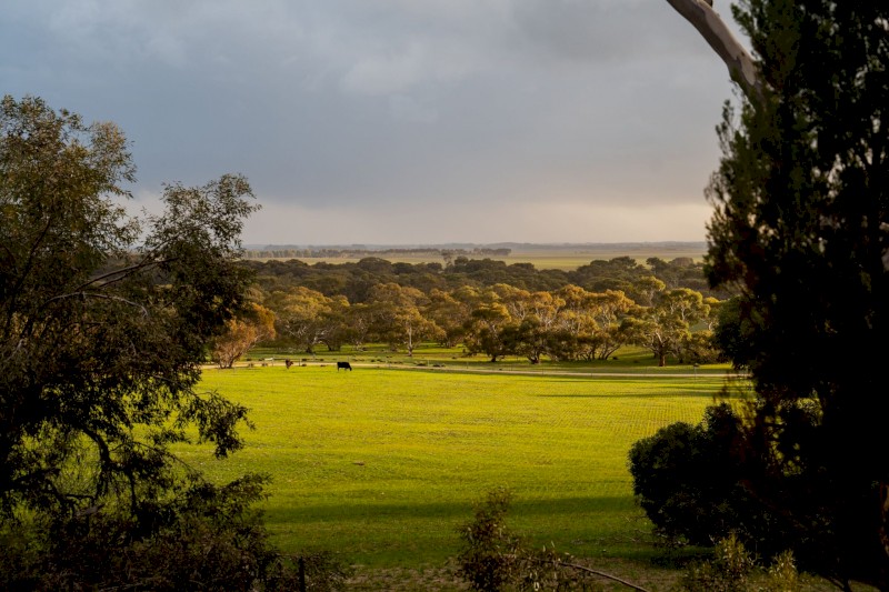 *EOI* 1,200 Hectares Grazing property VERSATILE BREEDING & FINISHING OPPORTUNITY