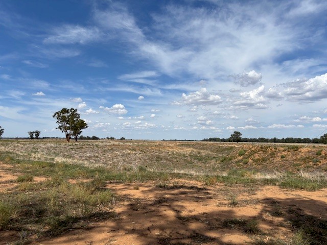 106 Hectares 20 Minutes South of Griffith