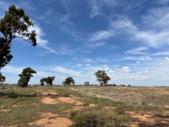106 Hectares 20 Minutes South of Griffith