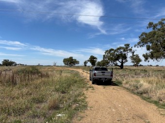 106 Hectares 20 Minutes South of Griffith