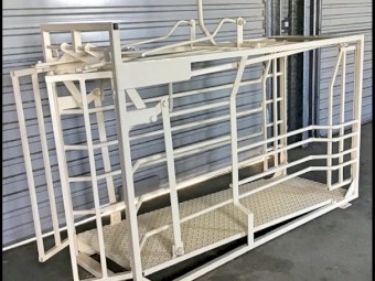 Advanced farm systems sheep pregnancy scanning crate