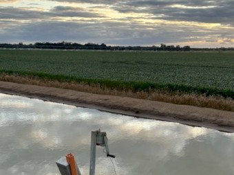 500mt Wheaten Hay 8x4x3 or Round Bales