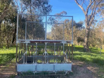 Maxi-Feeder 9' x 6' Modified Cattle Feeder