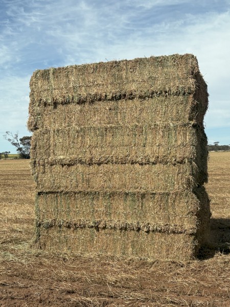 300mt Vetch Hay 8x4x3 Bales