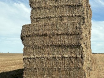 300mt Vetch Hay 8x4x3 Bales
