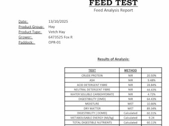 300mt Vetch Hay 8x4x3 Bales