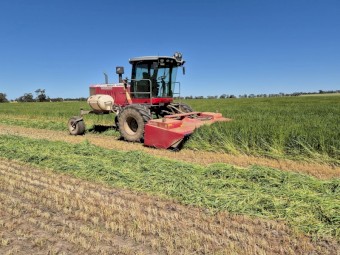 Sold Pending Inspection Wheaten Hay 8x4x3 Bales