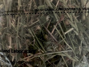 1000mt Clover Rye Hay 650kg 8x4x3 Bales