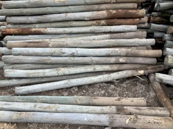 8 ft Fence Posts