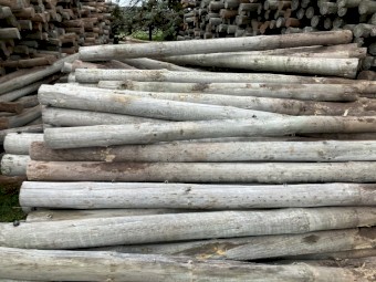 8 ft Fence Posts