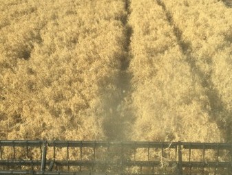 Harvest Contracting Available Wimmera VIC