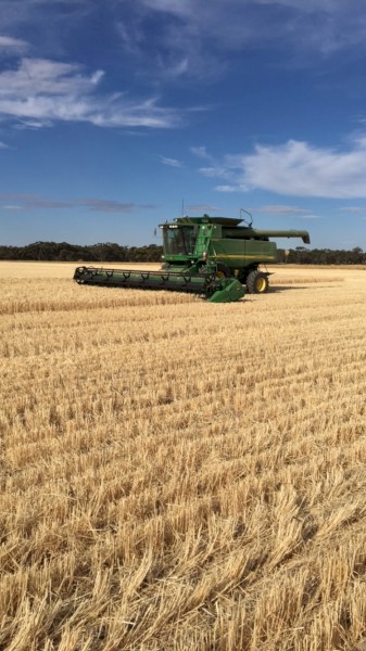 Harvest Contracting Available Wimmera VIC