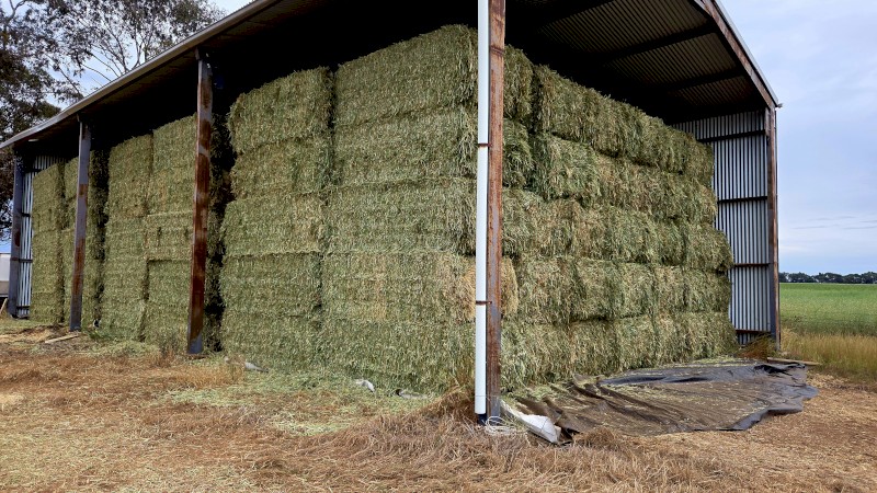 135MT  Wheaten Hay 8X4X3 Large Square Bales