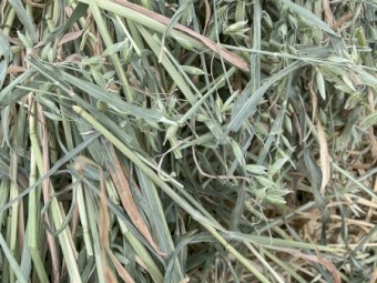 3000mt Oaten Hay 8x4x3 Bales