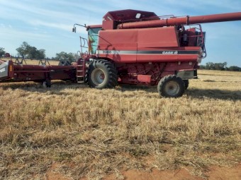 Case IH 2388 Header with 1052 Front
