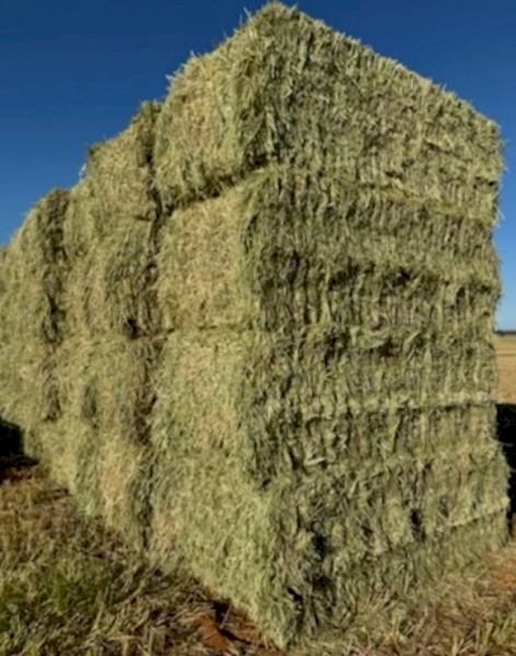 500mt Wheaten Hay 600-650kg 8x4x3 Bales