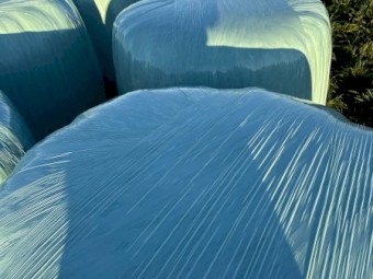600 x Silage Round Bales